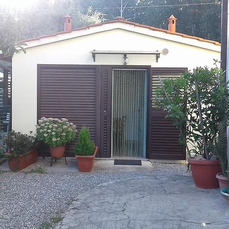 Da Lilly Apartment Lucca Exterior foto
